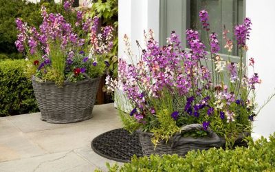 Easter Baskets Filled with Spring Flowers