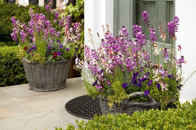 Easter Flower Baskets