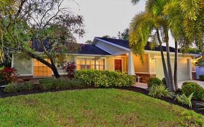 Ray & Donna P Review