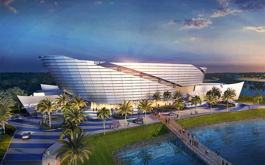 Mote Science Education Aquarium Vision