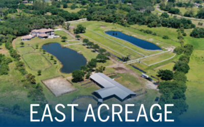 Sales Activity: East of I-75 Acreage