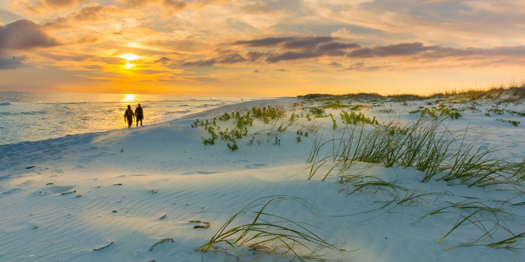 Sarasota Luxury Real Estate Agent Header