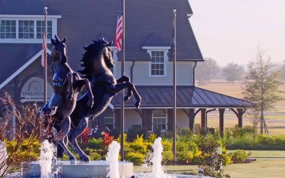 The Estates at TerraNova:  Florida’s Horse-Centric Estate Community