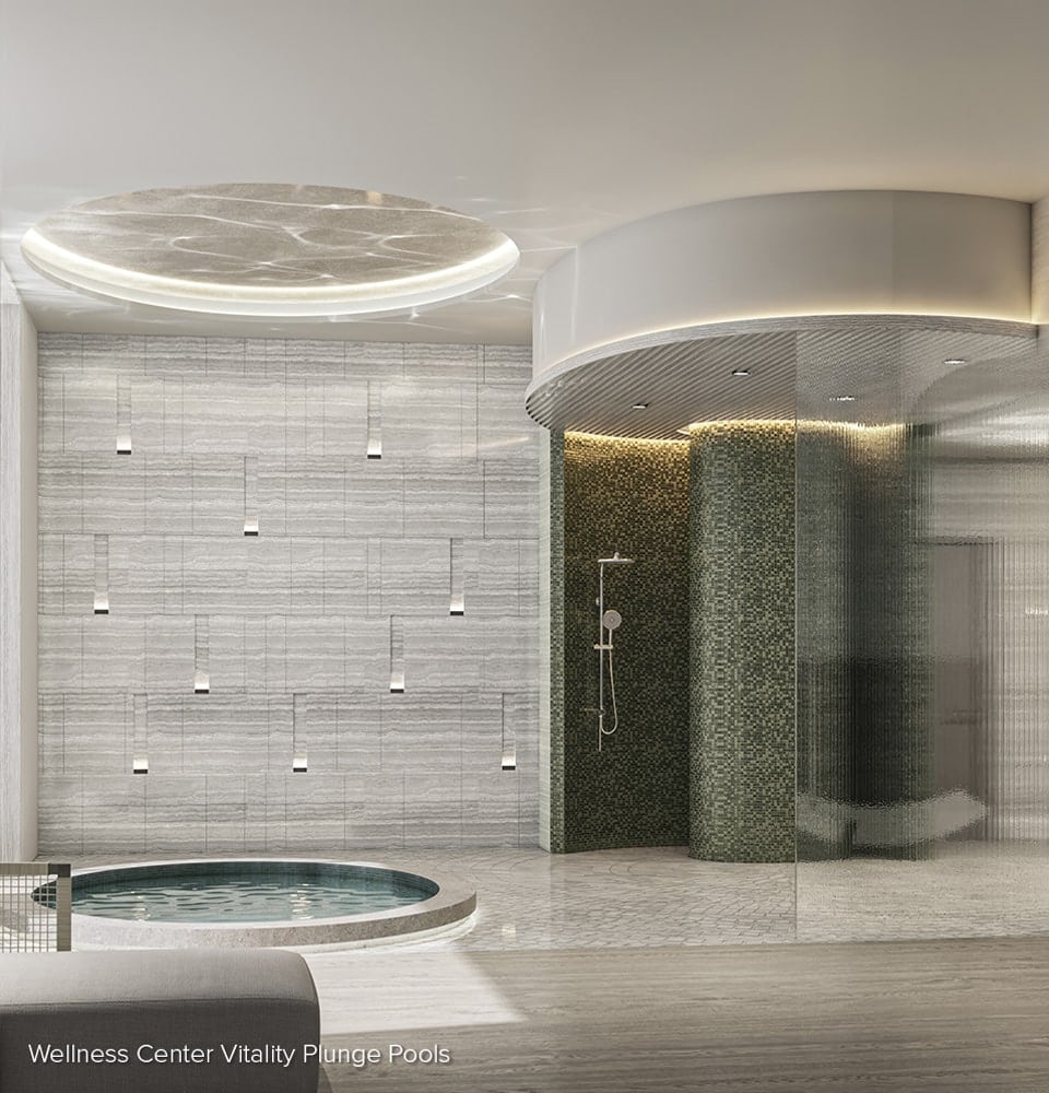 Ritz-Carlton Sarasota Vitality Plunge Pool