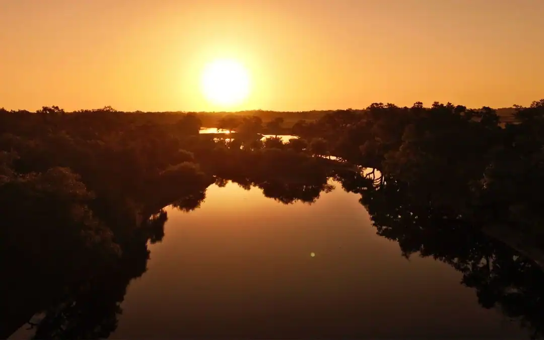 Myakka River Along The Estates at TerraNova