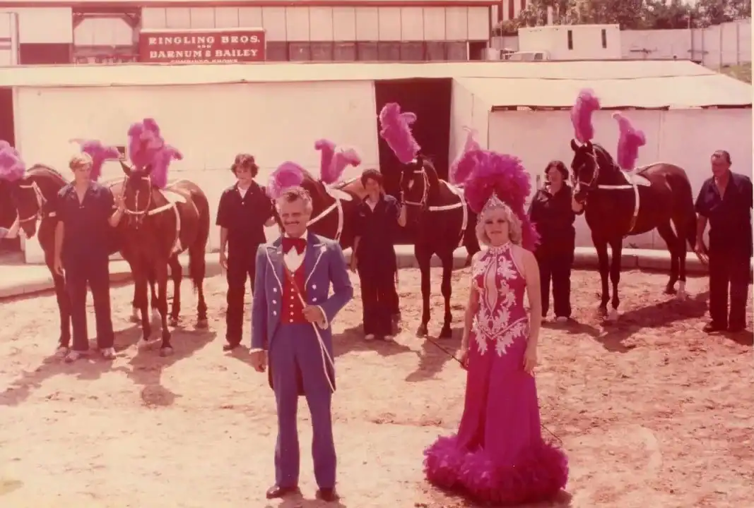 Herriots Horse Trainers