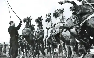 Sarasota Horse History