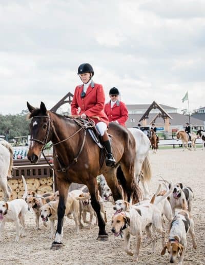 TerraNova Equestrian Center Dogs