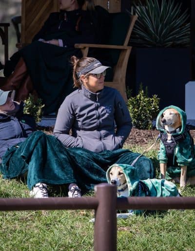 TerraNova Equestrian Center Dogs