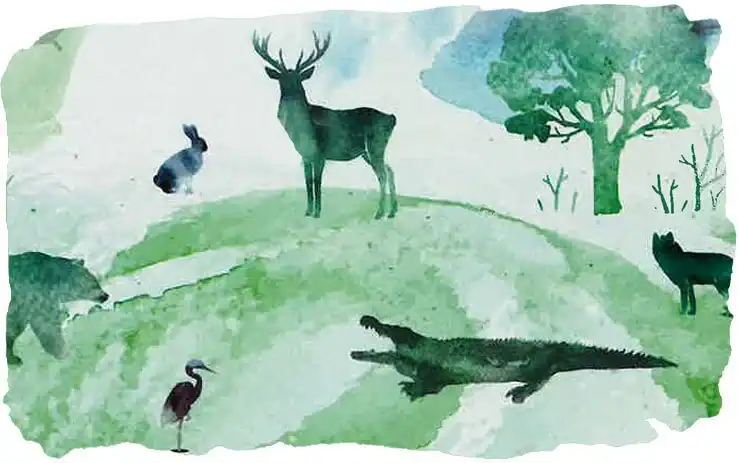 TerraNova History: Wildlife