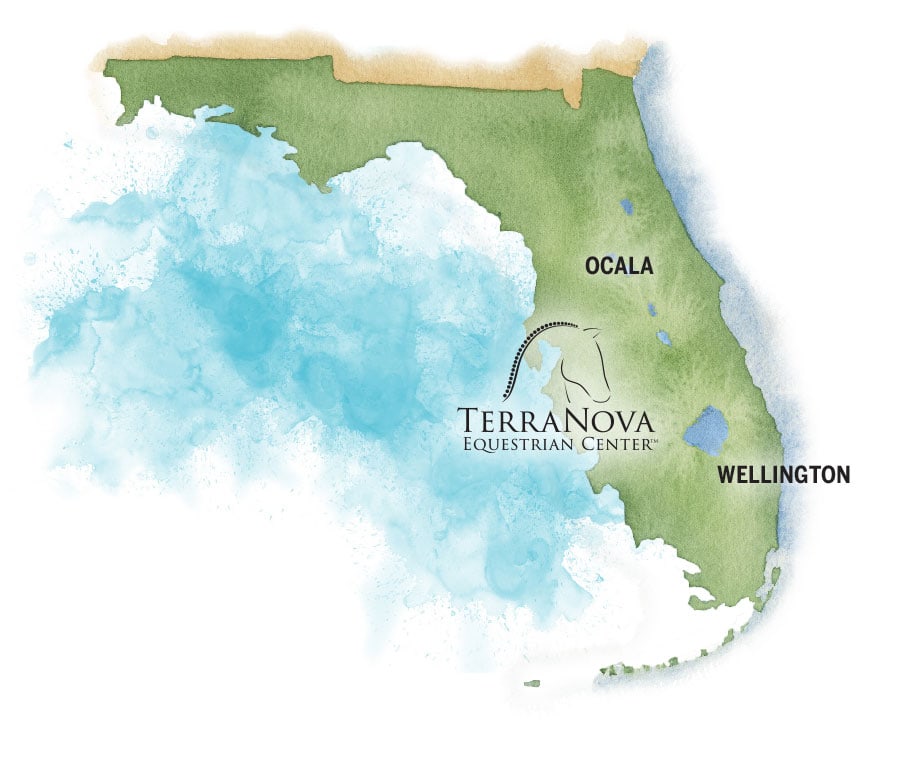 Florida's Equestrian Trifecta | The Estates at TerraNova